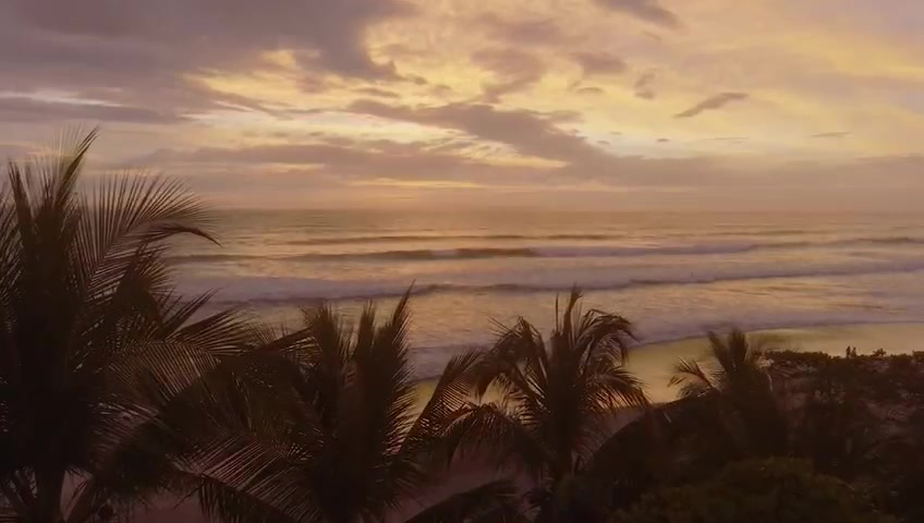 Costa Rica coastline managed by Wild Roots CR